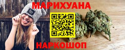 сатива Новозыбков