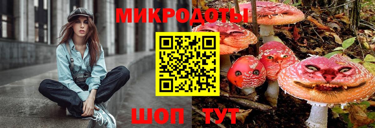 Сыктывкар  Псилоцибиновые грибы мухоморы  Вход с VPN 