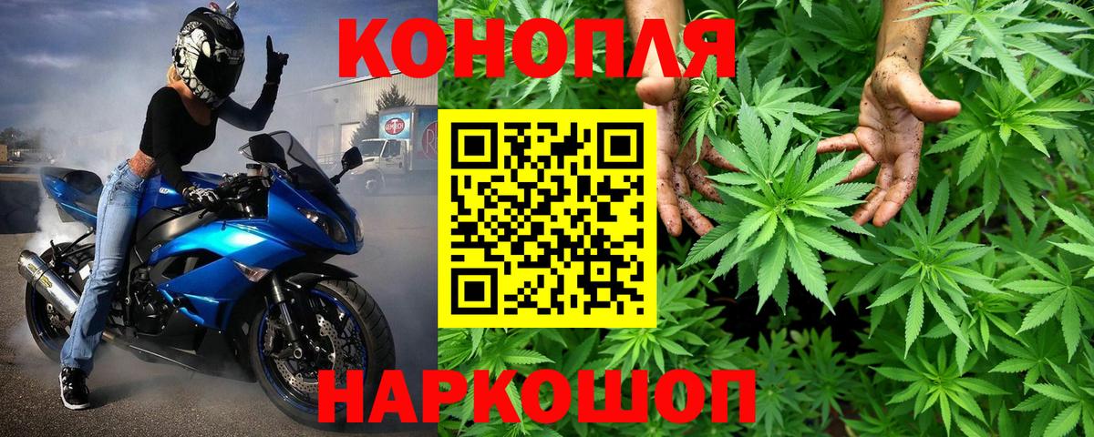 Бошки марихуана VHQ Сыктывкар